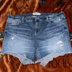 2 pairs of Torrid Jean Shorts